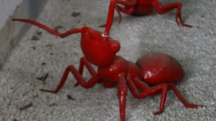 Снимка: Getty Images/Guliver Photos