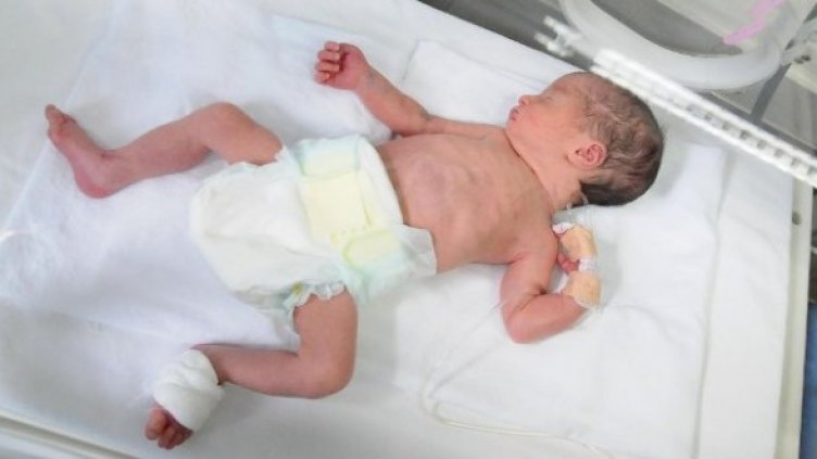 Снимка: Архив Булфото