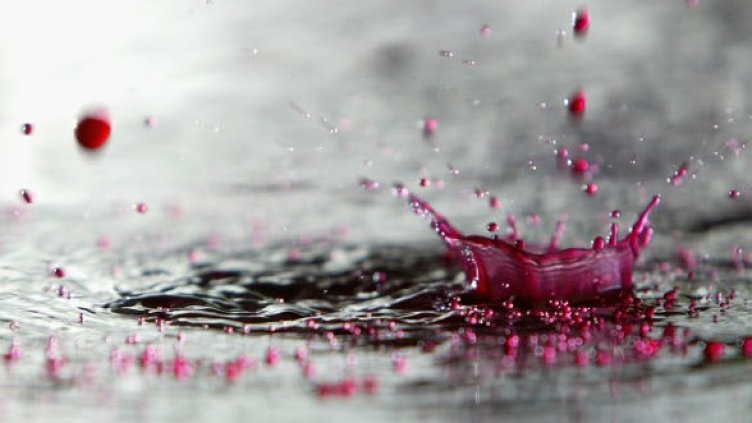 Снимка: Getty Images/Guliver Photos