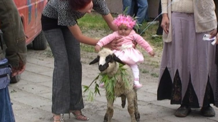 Снимка: Dnes.bg