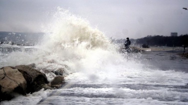 Снимка: Булфото