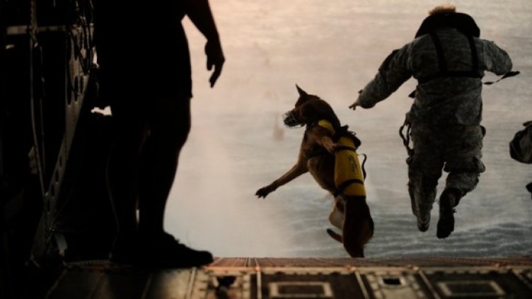 Снимка: Reuters