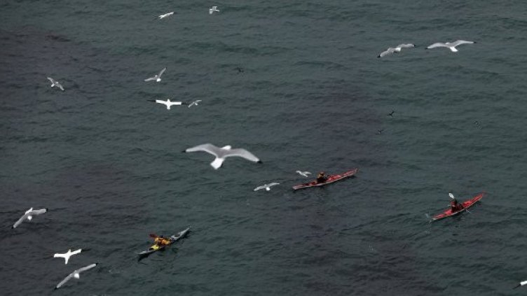 Снимка: Getty Images/Guliver Photos