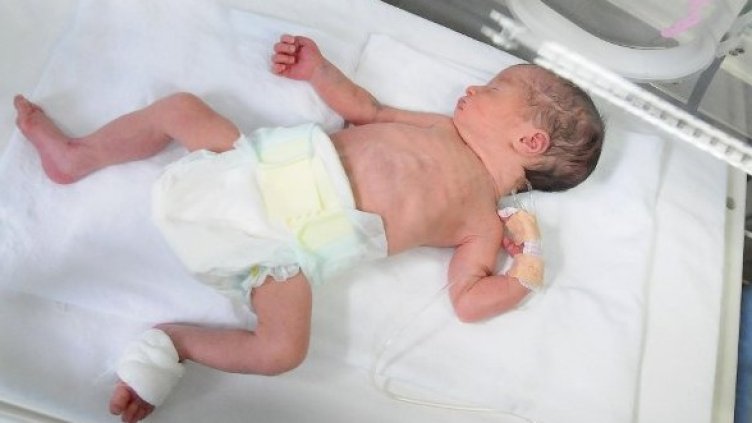 Снимка: Архив Булфото