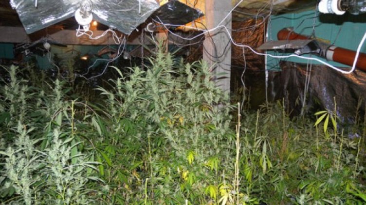 Снимка: МВР