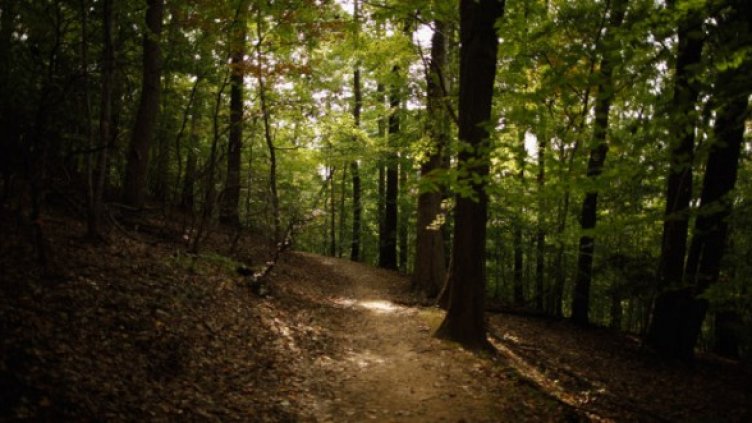 Снимка: Getty Images/Guliver Photos