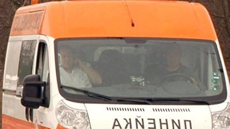 Снимка: Булфото