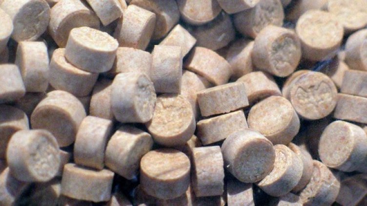 Снимка: Булфото