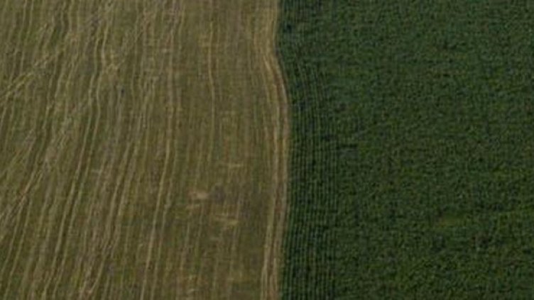 Снимка: Булфото