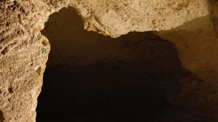 Снимка: Getty Images/Guliver Photos