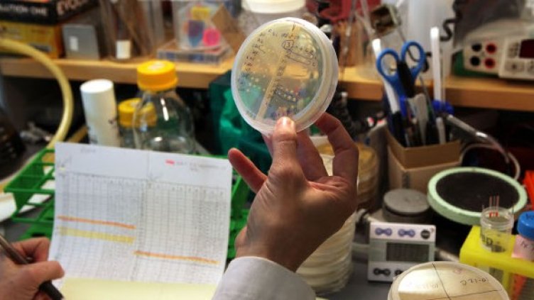 Снимка: Getty Images/Guliver Photos