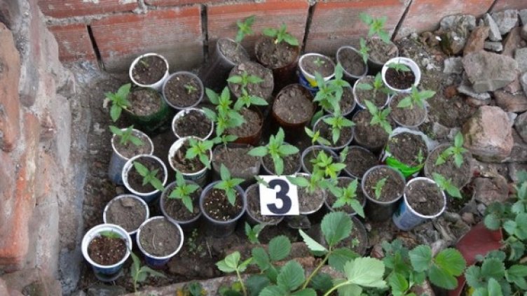 Снимка: МВР