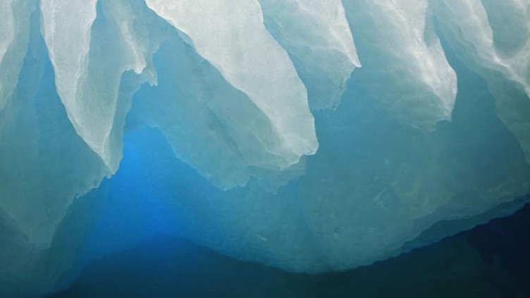 Снимка: Getty Images/Guliver Photos