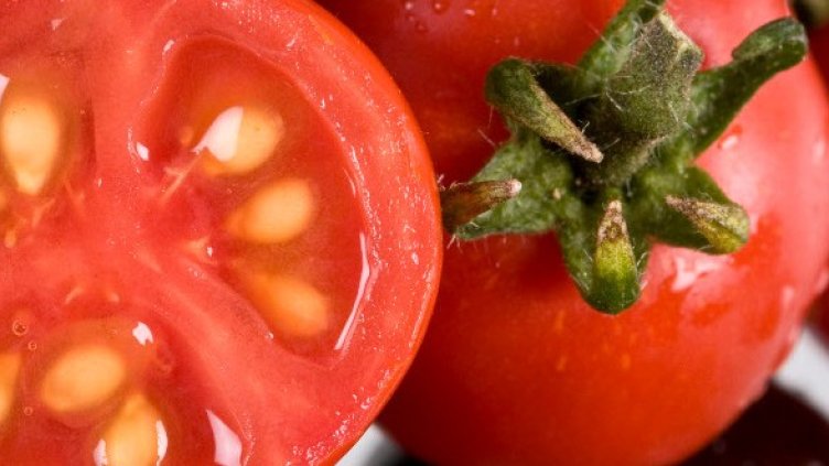 Снимка: Getty Images/Guliver Photos