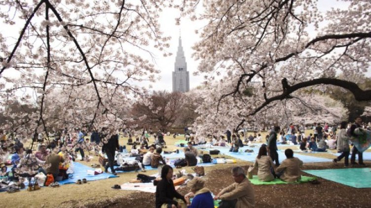 Снимка: Getty Images/Guliver Photos