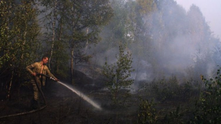 Снимка: Архив Getty Images/Guliver Photos