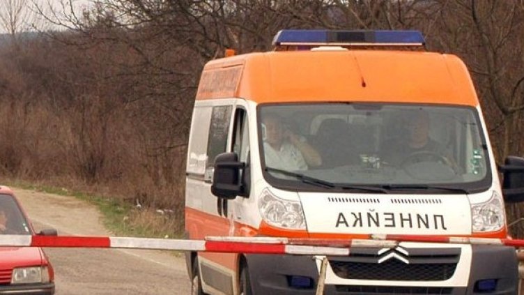 Снимка: Булфото