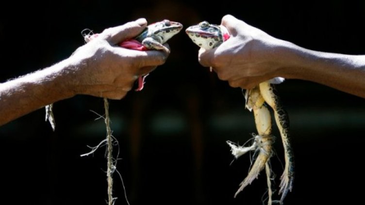 Сватбата. Снимка: Reuters