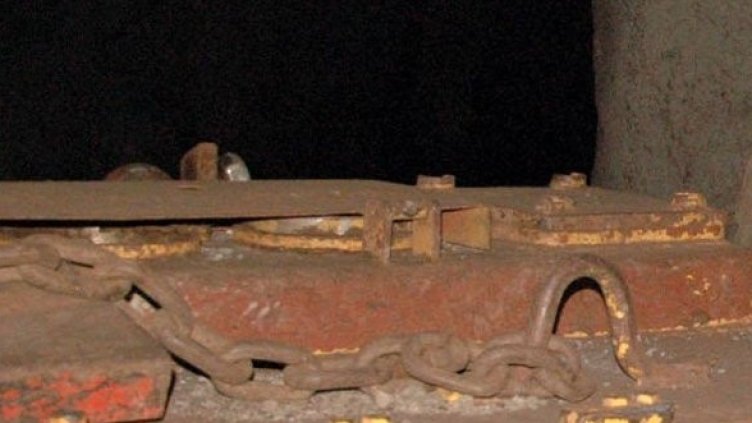 Снимка: Архив Булфото