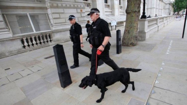 Снимка: Reuters