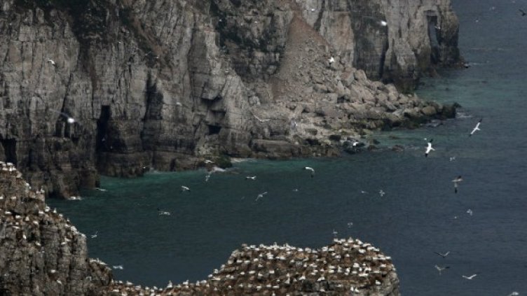 Снимка: Getty Images/Guliver Photos