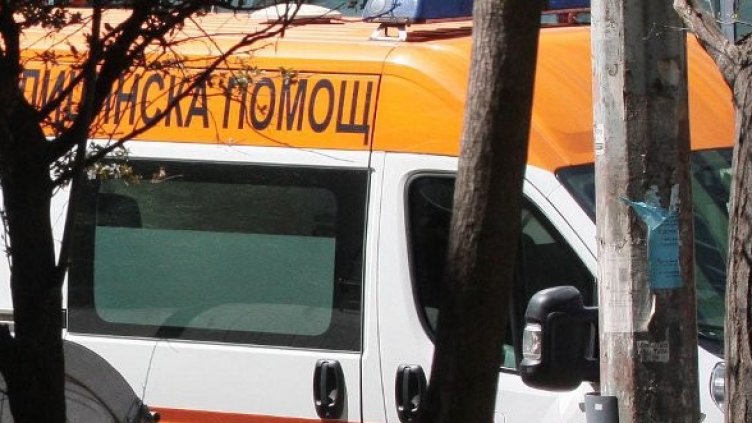 Снимка: архив Булфото