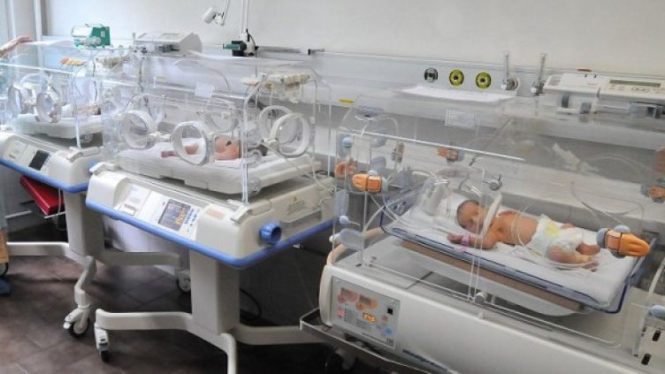 Снимка: архив Булфото