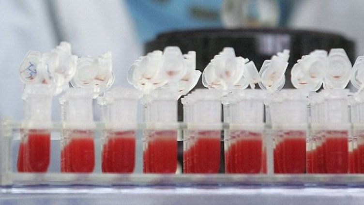 Снимка: Getty Images/Guliver Photos