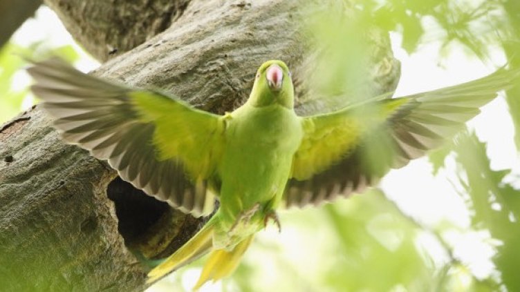 Този все още се държи. Снимка: Getty Images/Guliver Photos