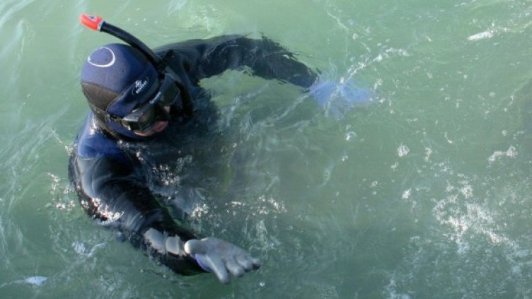 Снимка: архив Булфото