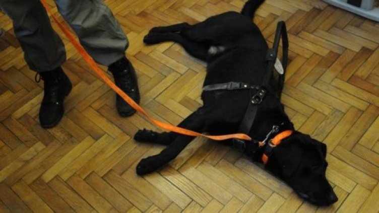 Снимка: Архив Булфото