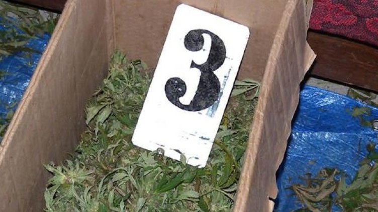 Снимка: Булфото