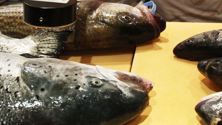 Снимка: Getty Images/Guliver Photos