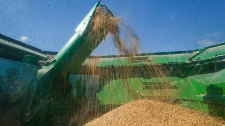 Снимка: Getty Images/Guliver Photos