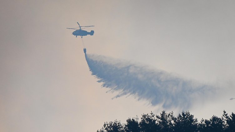 Снимка: архив, БГНЕС