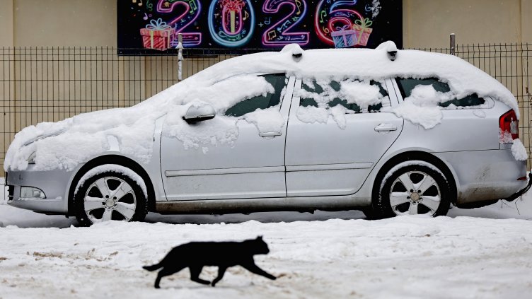 Снимка: архив, БГНЕС