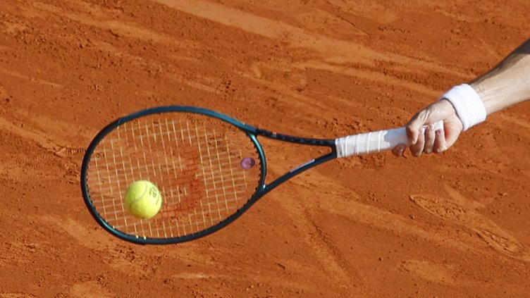 Снимка: архив, БГНЕС