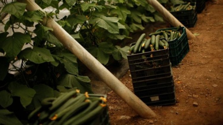 Снимка: Reuters