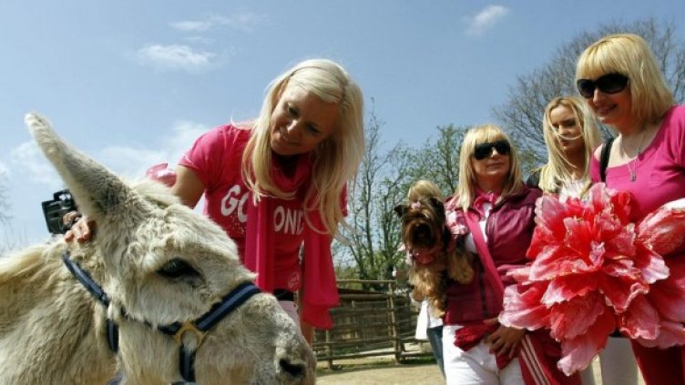 Блондинките си имат и международна асоциация. Снимка: архив Булфото