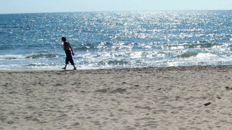 Засега само самотните гларуси крачат по плажа. Снимка: Булфото