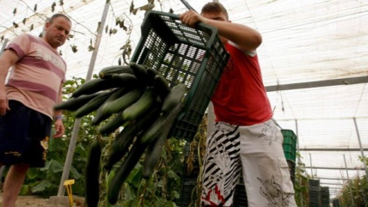 Снимка: Reuters