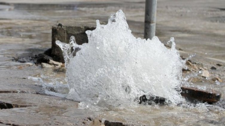 Снимка: архив Булфото