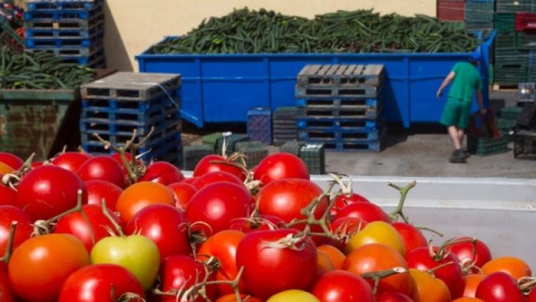 Снимка: Reuters