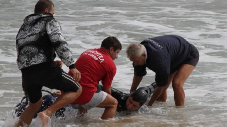 Снимка: Архив Булфото