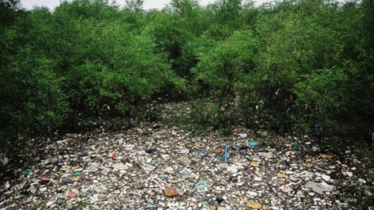 Снимка: Getty Images/Guliver Photos