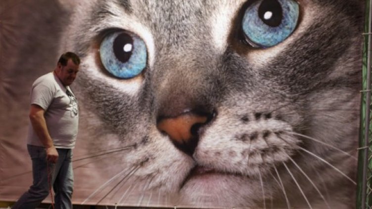 Снимка: Getty Images/Guliver Photos