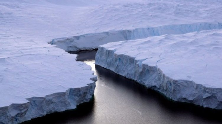 Снимка: Getty Images/Guliver Photos