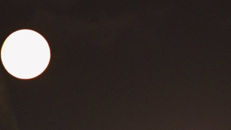 Снимка: Getty Images/Guliver Photos