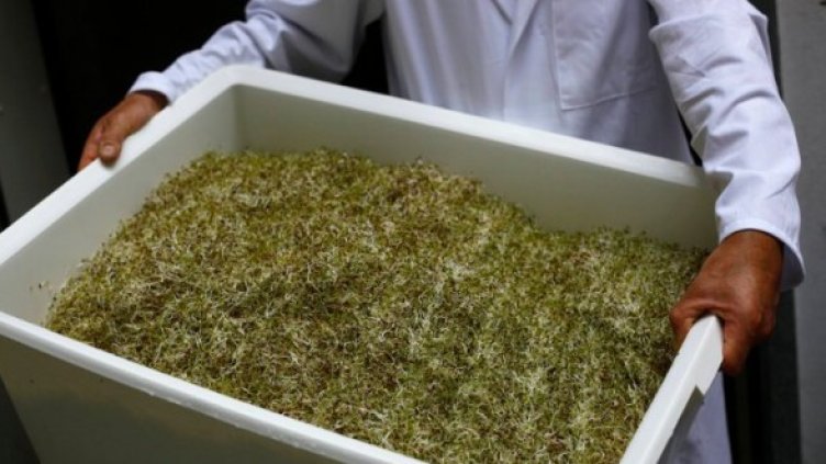 Снимка: Reuters