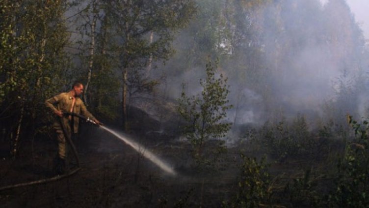 Снимка: Архив Getty Images/Guliver Photos